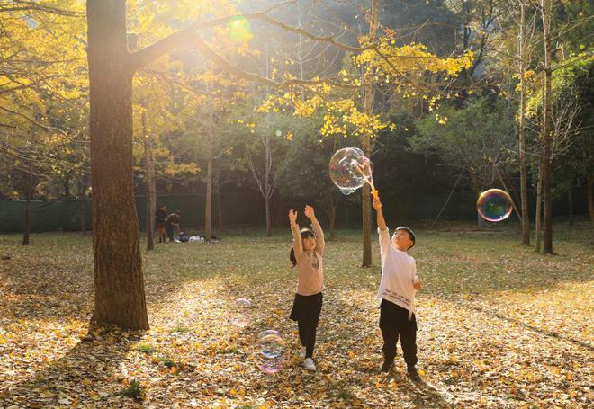 半岛·综合体育下载大场景小人物用好了真的很出片！(图4)