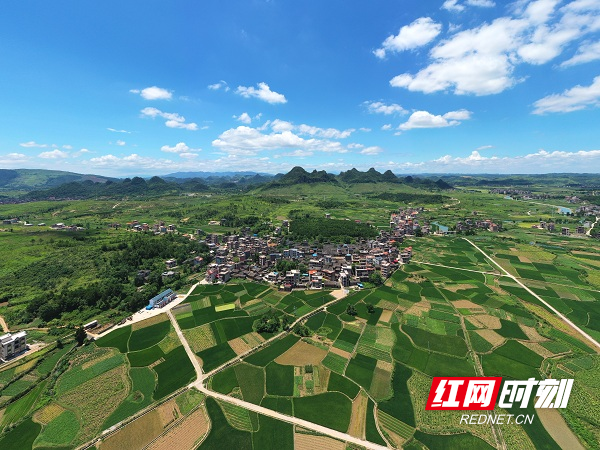 湖南新田：盛夏乡村田园风光美（组图）(图1)