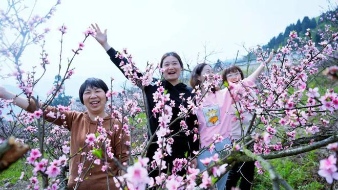 半岛·综合体育下载春天里的昭通印象 “三朵花”的新“花”样(图5)